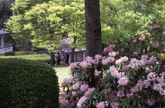 Kubote Garden