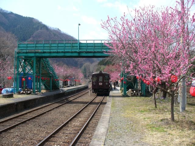"Hanamo" Kobe Station