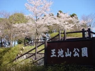Ojisan Park