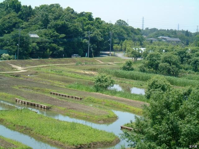 Hotsuke and Mt. Yamazaki