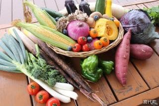 Fresh vegetables from the forest market "Yui"