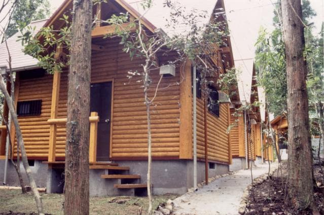 Resting forest bungalow