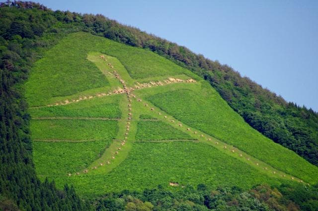 Japan's largest size