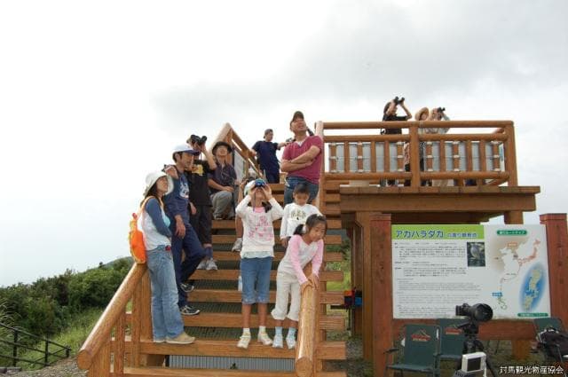 アカハラダカ展望所