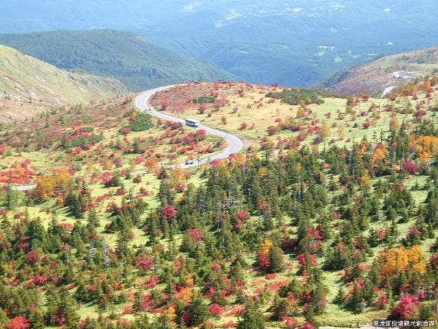 Kusatsushirane, autumn leaves