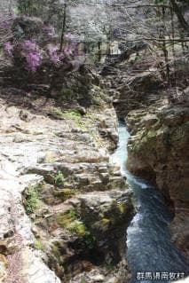 The valley of the cicada