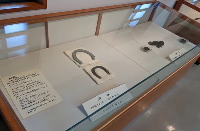 Excavated horseshoe and grilled rice