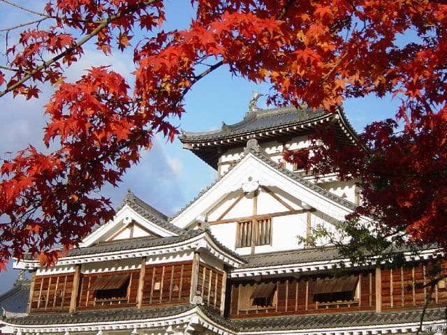 Autumn
