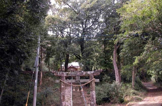 熊野神社植物群