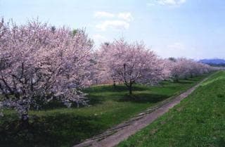 Kawasono, Shizukuishi Land