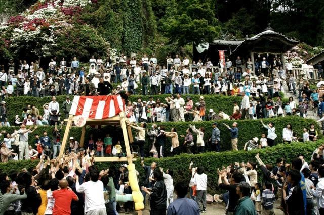 Large rice cake throw