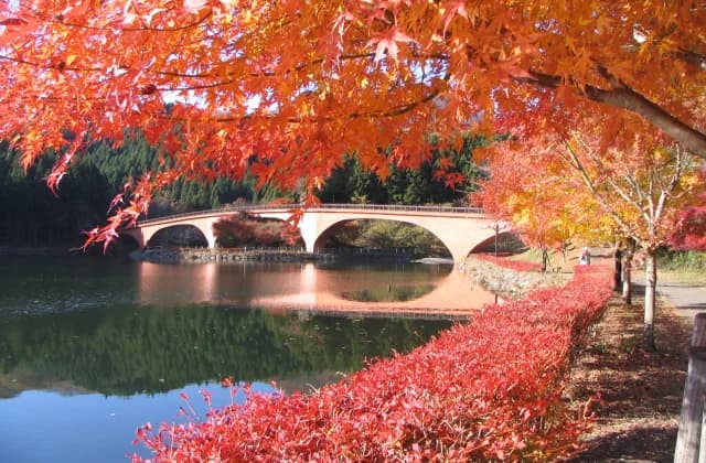 Lake Usui