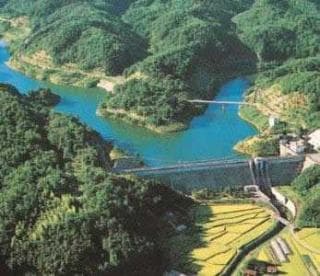 Imatomi Dam Park / Sakura