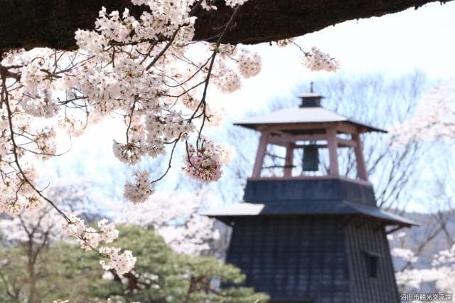 Cherry Blossom Bell Tower in Numata Park