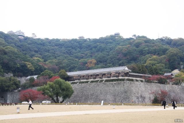 Matsuyama Shiroyama Park (Horinouchi district)