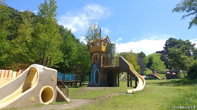 Daiko wide area park playground equipment