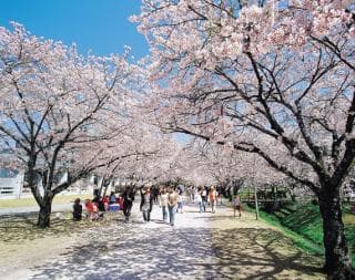 Kagamino Park