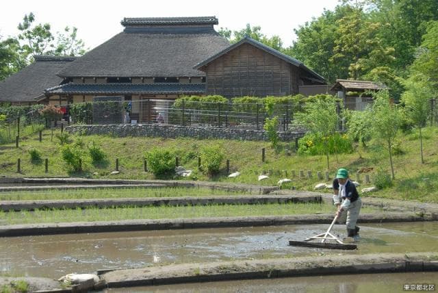 Oldness and Farmer Experience Center