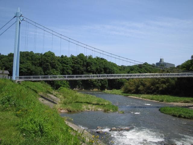 Daikin Suspension Bridge