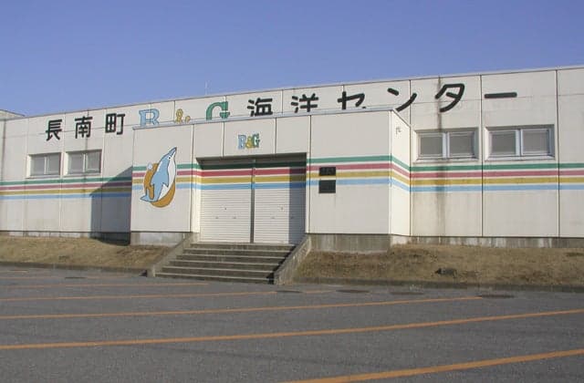 B & G Foundation Osanami Marine Center Pool