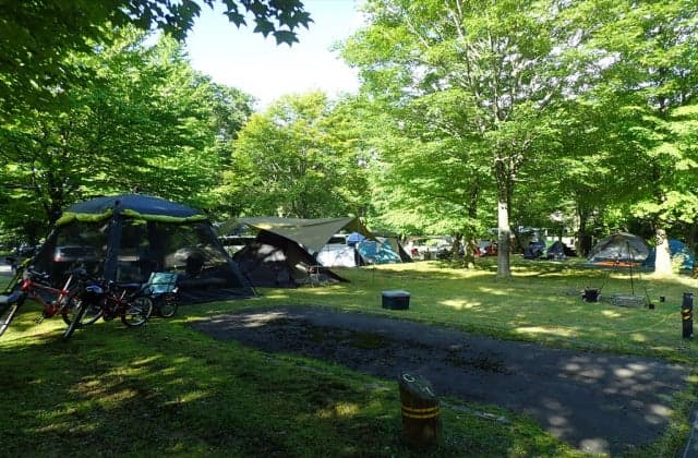 Live campground