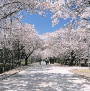 Kagamino Park