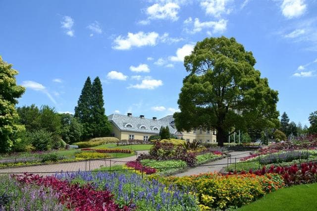 Flowerbed