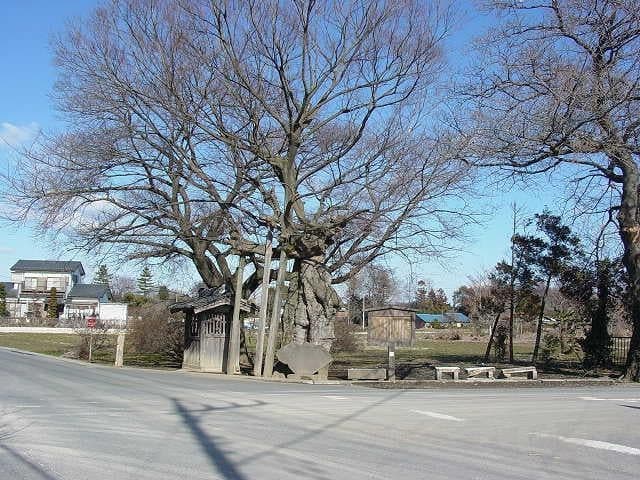Basho Kumon Monument