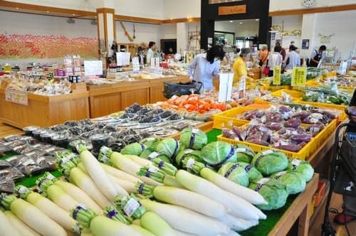 Roadside station Fujiki no Sato Adogawa