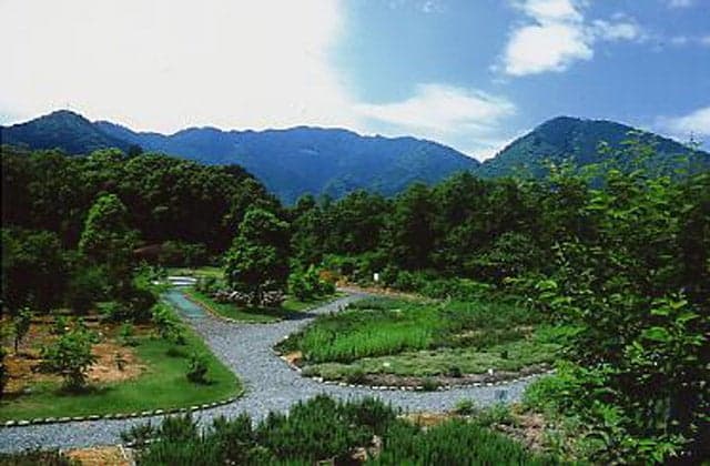 中山薬草薬樹公園