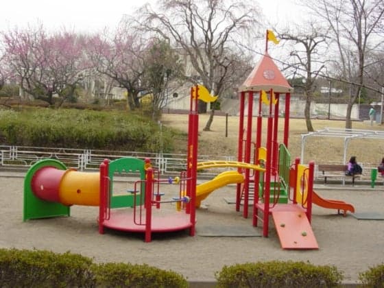 Large compound playground equipment
