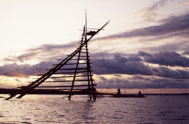 ボラ待ちやぐら