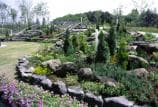 Flower Hill Park Flower Terrace Garden