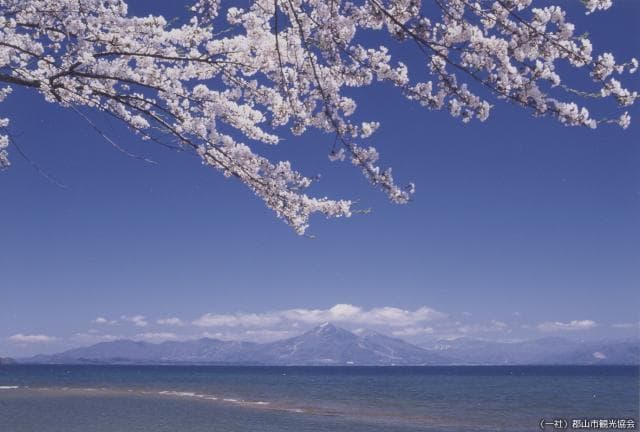 舟津公園