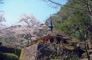 Otome Pass Maria Cathedral