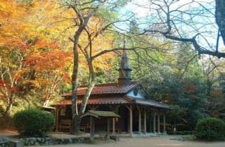 Otome Pass Maria Cathedral