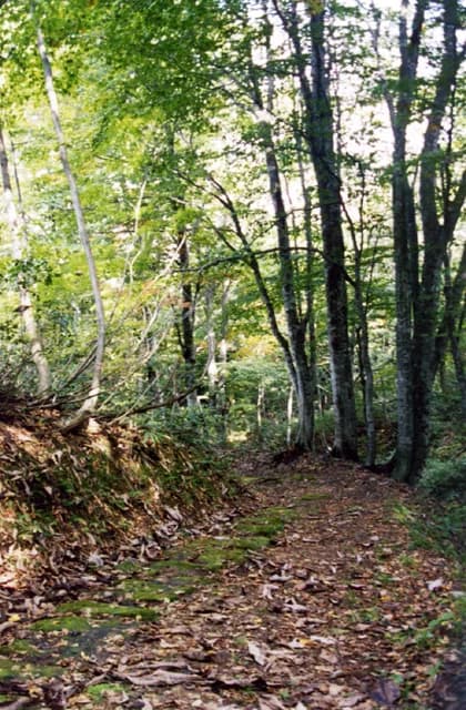 Park Nogi Pass