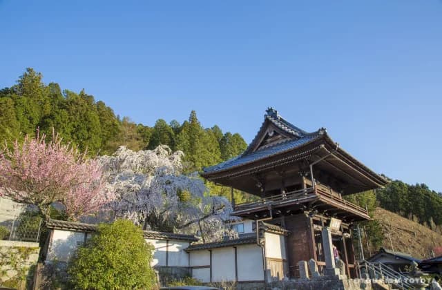 Zuiryu-ji Temple