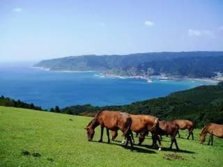 2, Toimisaki