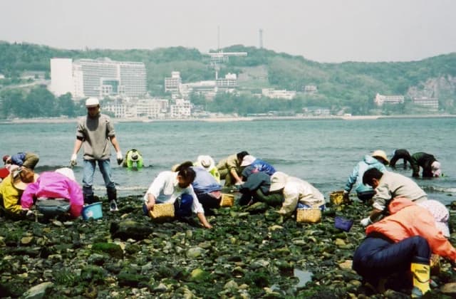 Kaji Island