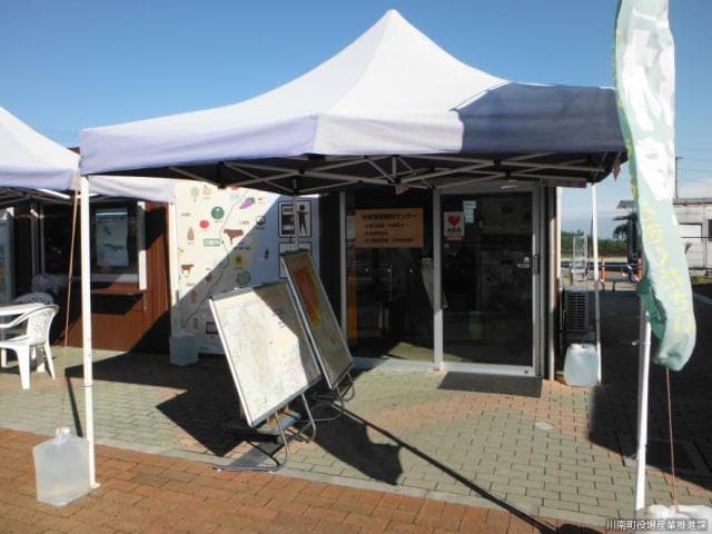 Regional Information Dissemination Center