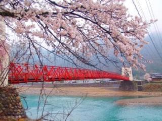 Minobashi Spring