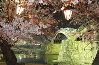 Kintai-kyo Bridge Cherry Blossom 3
