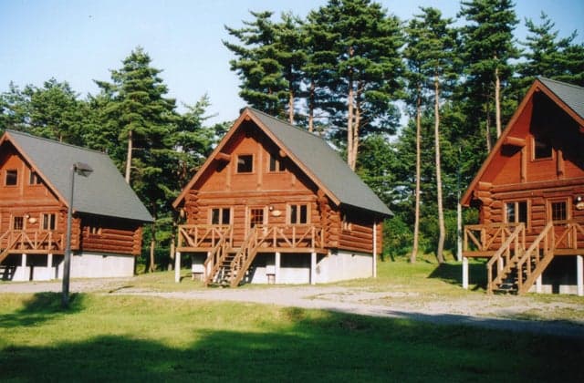 Log house