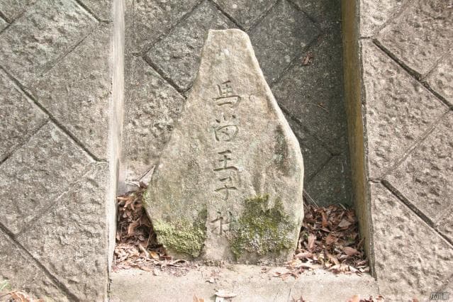 The ruins of the princess