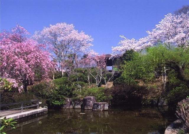 Dojiyama Park