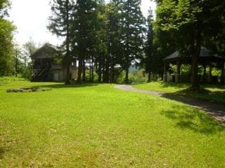 Forest Forest Campsite