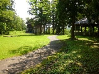 Forest Forest Campsite