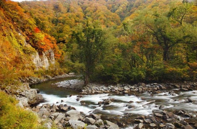 Akaishi mountain stream with autumn leaves