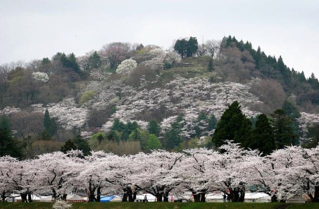 Kakunodate Castle Ruins (Koshiroyama)